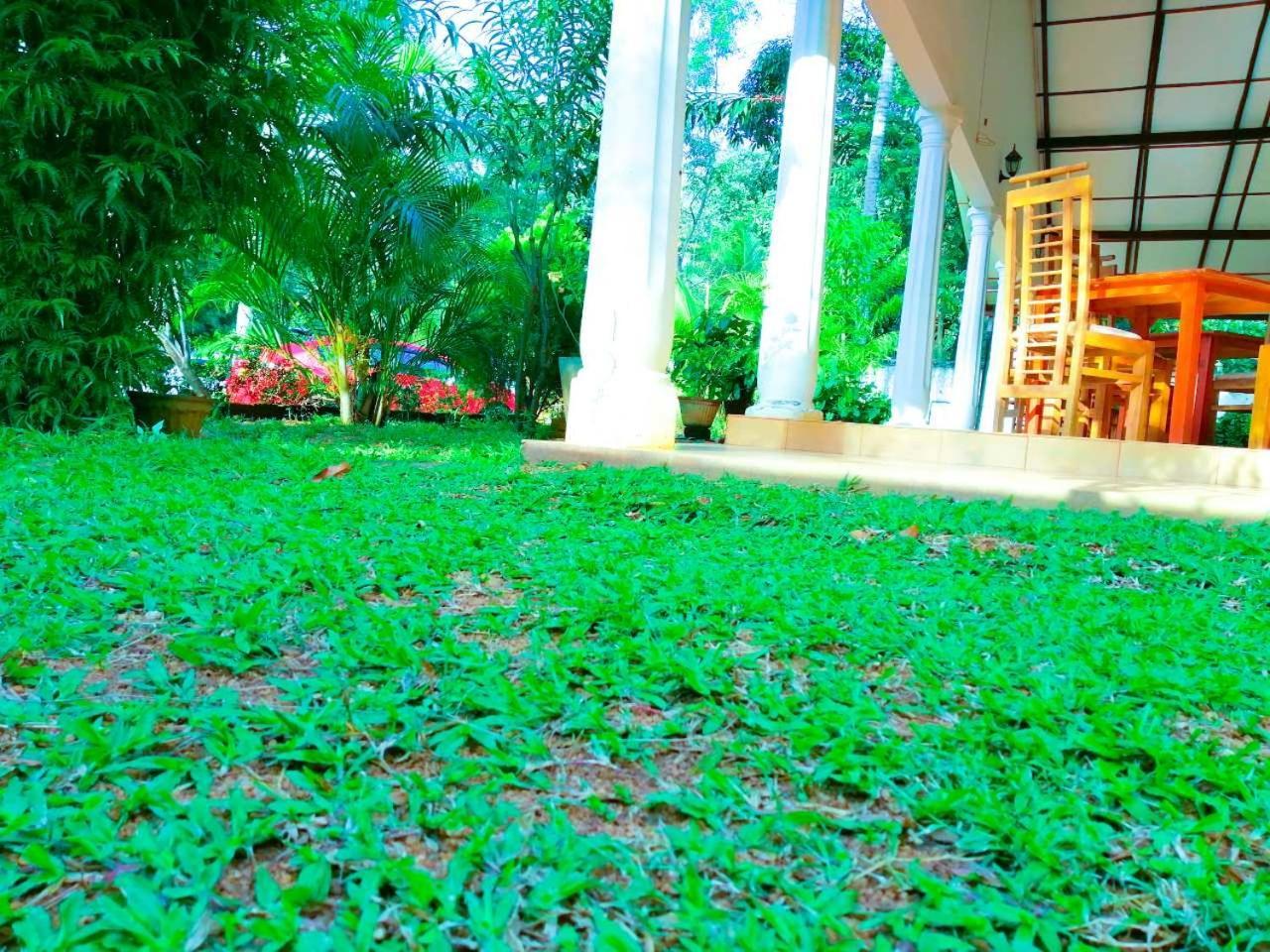 New Sigiri Terrace Hotel Kibissa المظهر الخارجي الصورة