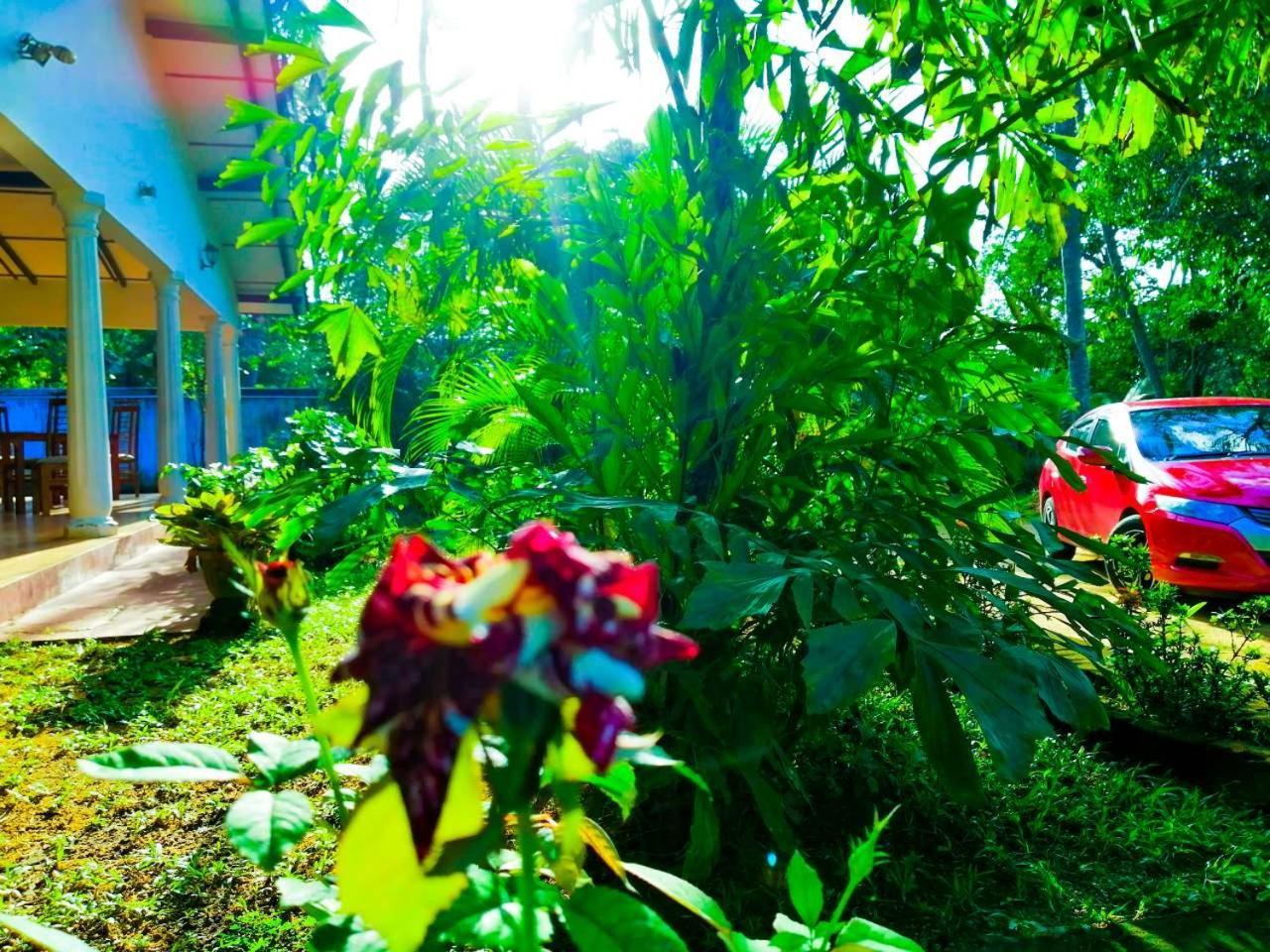 New Sigiri Terrace Hotel Kibissa المظهر الخارجي الصورة